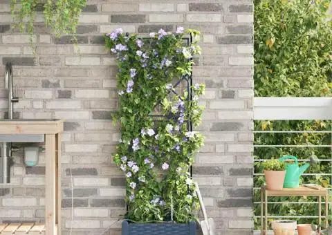 Vază pentru Grădină Zăbrele cu depozitare Gri 40 x 40 x 126cm Plastic - 3/5