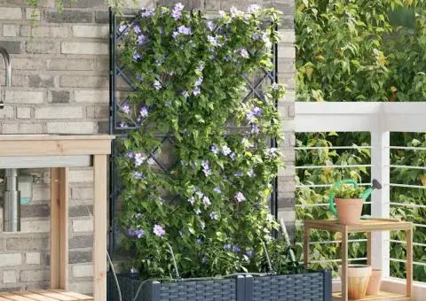 Ghivece de Grădină 1 buc Zăbrele Gri 80 x 40 x 126 cm Plastic - 1/5