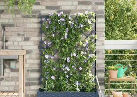 Ghivece de Grădină 1 buc Zăbrele Gri 80 x 40 x 126 cm Plastic - 3/5