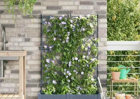 Jardiniere grădină cu spalier 2 buc. gri deschis 80x40x125,5 cm - 1/5