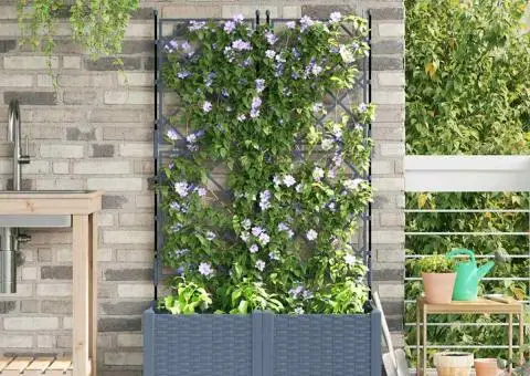 Jardiniere grădină cu spalier 2 buc. gri deschis 80x40x143 cm - 1/5