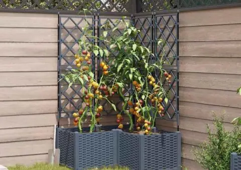 Jardiniere grădină cu spalier 3 buc. gri deschis 80x40x143 cm - 3/5