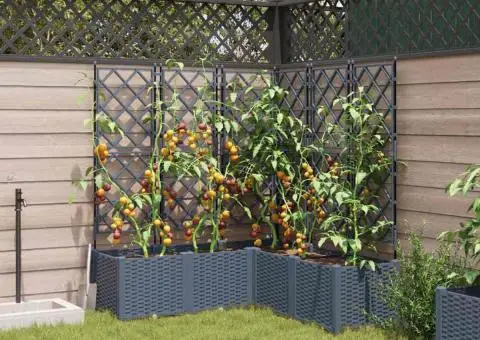 Jardiniere grădină cu spalier 5 buc. gri deschis 120x40x143 cm - 3/5