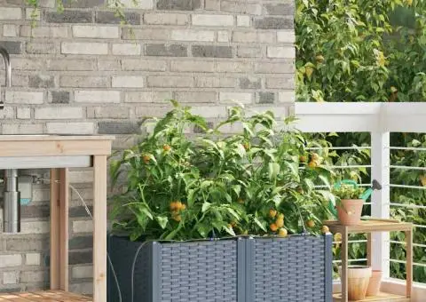 Ghivece de Grădină 1 buc Gri deschis 80 x 40 x 37.5 cm Plastic - 3/5