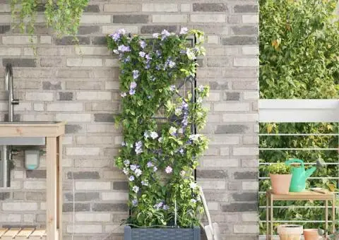 Ghivece de Grădină 1 buc Gri deschis 40 x 40 x 126 cm Plastic - 3/5