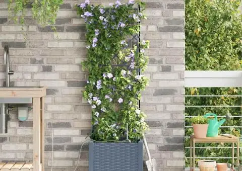 Ghivece de Grădină 1 buc Gri deschis 40 x 40 x 142 cm Plastic - 3/5