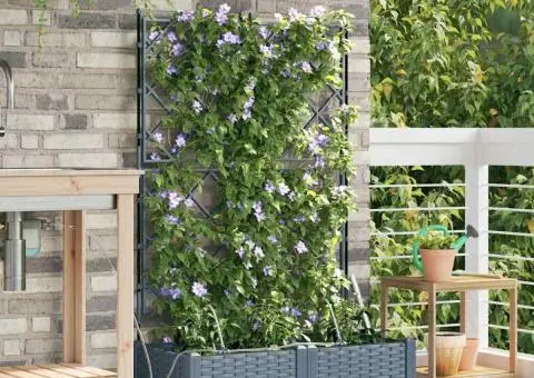 Ghivece de Grădină 1 buc Gri deschis 80 x 40 x 126 cm Plastic - 1/5