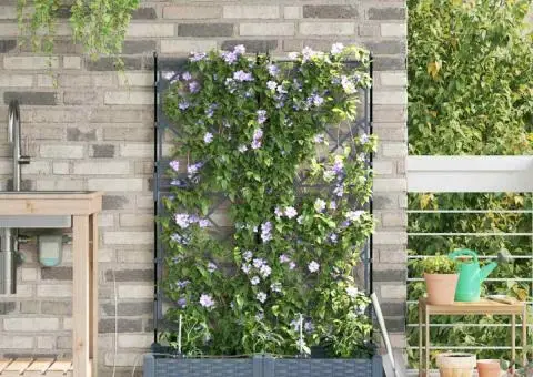 Ghivece de Grădină 1 buc Gri deschis 80 x 40 x 126 cm Plastic - 3/5