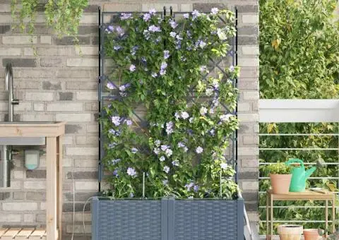 Ghivece de Grădină 1 buc Gri deschis 80 x 40 x 142 cm Plastic - 3/5