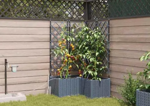 Ghivece de Grădină 1 buc Gri deschis 80 x 80 x 142 cm Plastic - 1/5