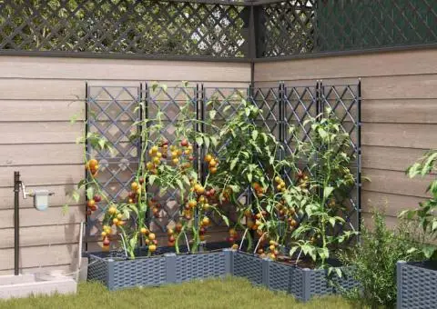 Ghivece de Grădină 1 buc Gri deschis 120 x 120 x 126 cm Plastic - 1/5