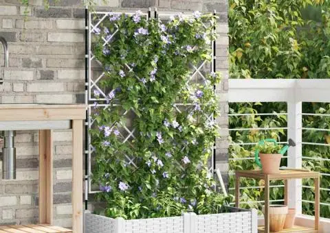 Jardiniere de grădină cu spalier, 2 buc., alb, 80x40x125.5 cm - 3/5