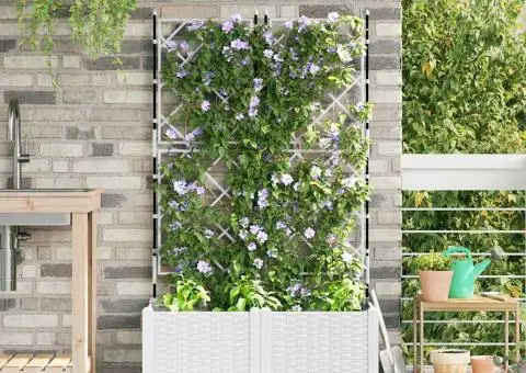 Jardiniere de grădină cu spalier, 2 buc., alb, 80x40x143 cm - 1/5