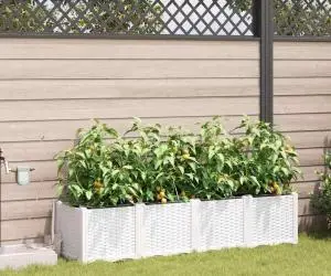vidaXL Ghivece de Grădină 1 buc Alb 160 x 40 x 37.5 cm Plastic