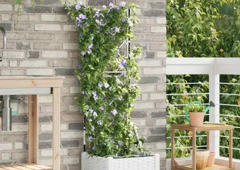 Ghivece de Grădină 1 buc Zăbrele Alb 40 x 40 x 126 cm Plastic - 1/5