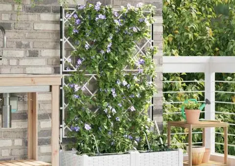 Ghivece pentru grădină Zăbrele Alb 80 x 40 x 126 cm Plastic - 1/5