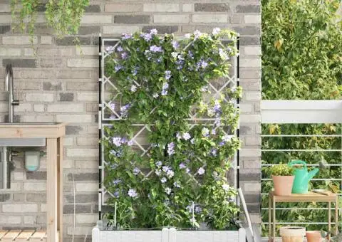 Ghivece pentru grădină Zăbrele Alb 80 x 40 x 126 cm Plastic - 3/5