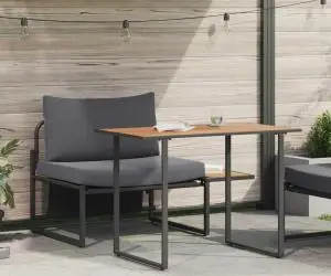 vidaXL Set mobilier de grădină, 2 piese, single cu perne antracit