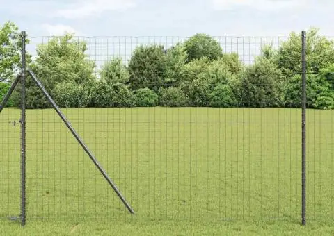 Gard Euro Gri 1.6x10 m Fier - 1/5