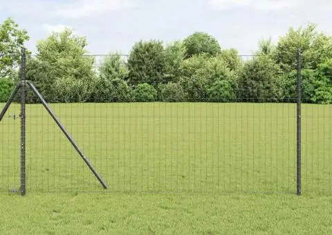 Gard Euro Gri 1x10 m Oțel - 1/5