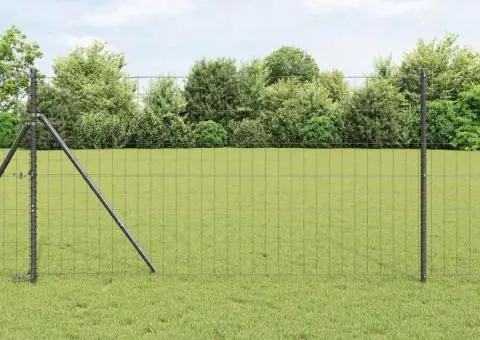 Euro Fence Gri 1x10 m Oțel - 1/5