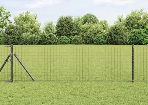 Euro Fence Gri 0.8x25 m Oțel - 1/5