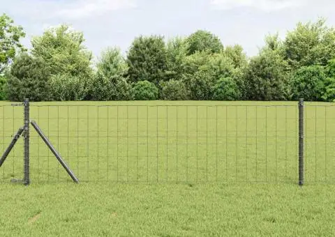 Gard Euro Gri 0,8x25 m Oțel - 1/5