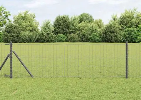 Gard Euro Gri 0.6x50 m Oțel - 1/5