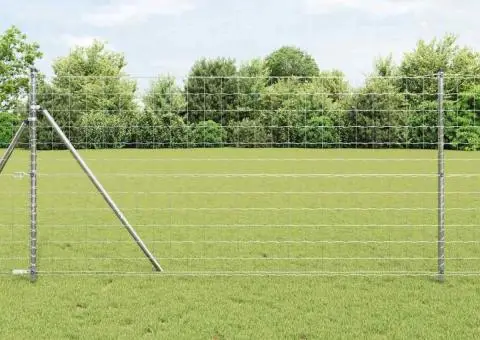 Împrejmuire Euro 1.2x25 m Oțel galvanizat - 1/5