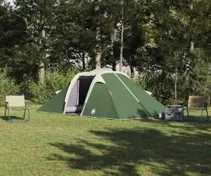 vidaXL Cort cu acoperiș Altele Verde și Negru 510 x 240 x 156 cm Poliester