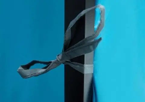 Cort cu acoperiș Altele cu aerisire de aer Albastru și Negru 520 x 520 x 190 cm - 5/5