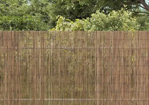 Gard din trestie 400x160 cm - 1/5