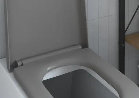 Capac WC cu eliberare rapidă, închidere lentă, gri, duroplast - 4/5