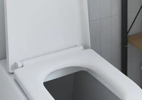 Capac WC cu eliberare rapidă, închidere lentă, alb, duroplast - 4/5