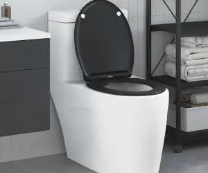 vidaXL Capac WC cu eliberare rapidă, închidere lentă, negru, duroplast