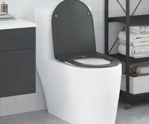 vidaXL Capac WC cu eliberare rapidă închidere lentă antracit duroplast