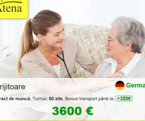 Ingrijitor batrani Germania 24/24