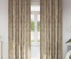 vidaXL Set de cortine din catifea , 2 piese, cu œillets, Champagne, 245x140 cm