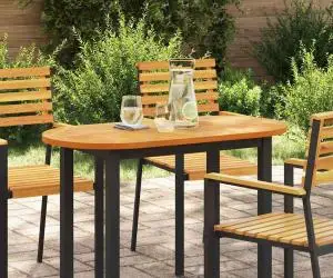 vidaXL Blat de masă 100x50x2.2 cm Oval din lemn masiv de acacia