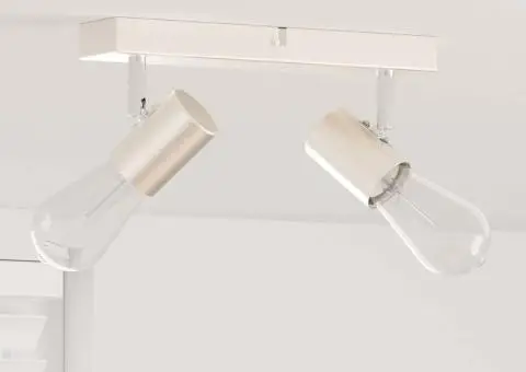 Spot de Plafon 2 Direcții Reglabile Nichel Periat E27 - 1/5