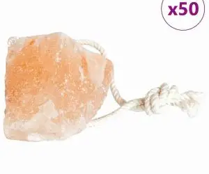 vidaXL Pietre sare de lins, 50 buc. roz sfori animale de fermă 6,25 kg