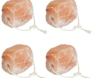 vidaXL Pietre sare de lins 4 buc., roz, sfori animale de fermă, 10 kg