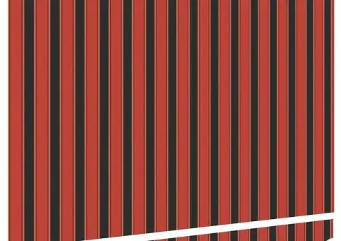 Marchiză pentru Cadru de 3x2 m Dungi Colorate - 4/5