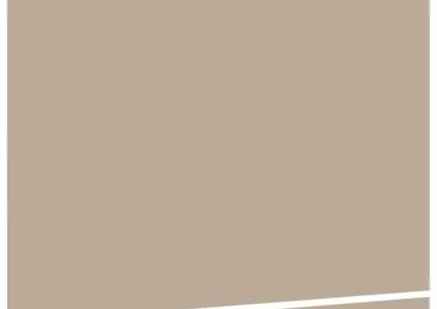 Material de Obloane pentru Cadru de 4.5x3 m Bej - 4/5