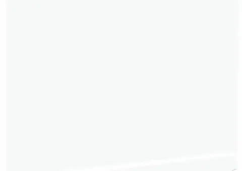 Tela de înlocuire pentru marchiză pentru cadru de 2.5x2 m Alb - 4/5