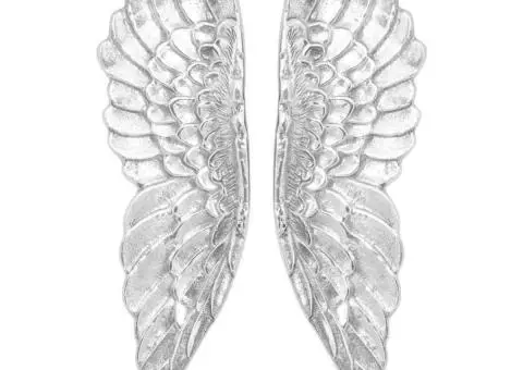 Aripi Argintii 91x31x5 cm Aluminiu - 3/5