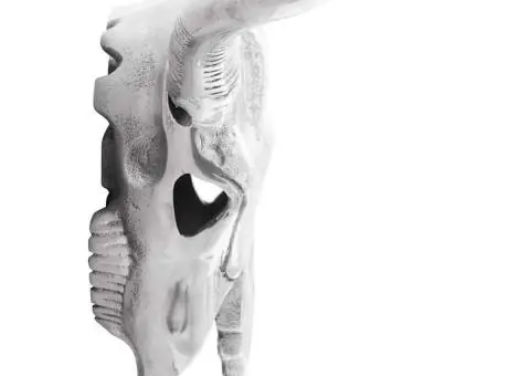 Cap de taur de perete, argintiu, 34x13x53 cm, aluminiu - 4/5