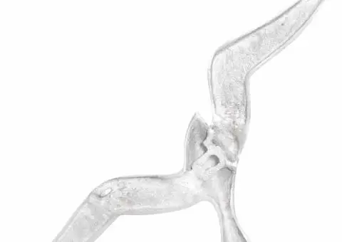 Pescăruși, 2 buc., de perete, argintiu, aluminiu - 4/5