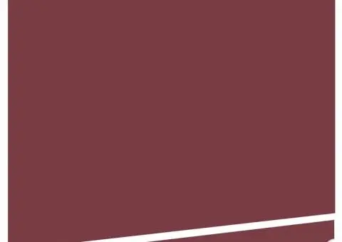 Material de Înlocuire pentru Marchiză pentru Cadru 2.5x2 m Bordo - 4/5