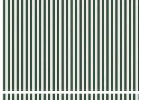 Țesătură de marchiză 3.5x2 m verde și alb - 5/5